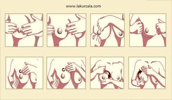 Göğüs Büyütme Yöntemleri | Gıdalar | Masajlar | Besinler 1 Göğüs Büyütme Yöntemleri